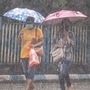 Pedestrians use umbrellas to shield themselves as they walk on a road amid heavy monsoon rainfall, in Kolkata. Meanwhile, the scarcity of rain in Bengal's jute-producing districts has slowed down the supply of golden fibre to mills amid bumper crop estimates, an official said on Sunday