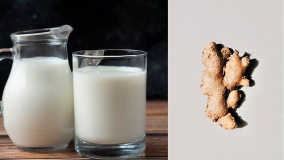 Dry Ginger with Milk कोरडे आले दुधात उकळून प्या, आरोग्यासाठी मिळतील