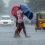 <p>कोकणासह मुंबई आणि ठाण्यातील हवामानातही बदल होत असल्याचं दिसून येत आहे. हवामान खात्याने मुंबईत पुढील दोन ते तीन दिवसांत मुसळधार पाऊस होणार असल्याचा अंदाज वर्तवला आहे.</p>