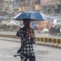 <p>Maharashtra Rain and Weather Update : गेल्या आठवड्याभरापासून राज्यभरात पावसाने चांगलाच जोर धरला आहे. विदर्भ आणि कोकणातील जिल्ह्यांमध्ये मुसळधार पाऊस सुरू आहे.</p>