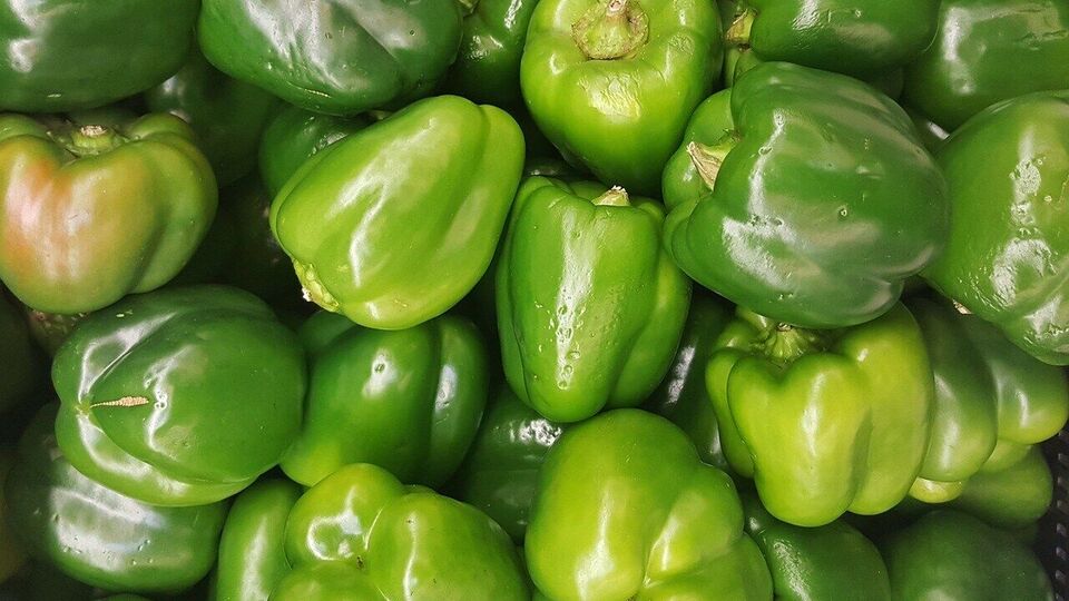 Capsicum Side Effects चुकूनही खाऊ नकात जास्त शिमला मिरची, शरीराचे वाढू