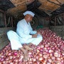 Onion Price Hike In Maharashtra 