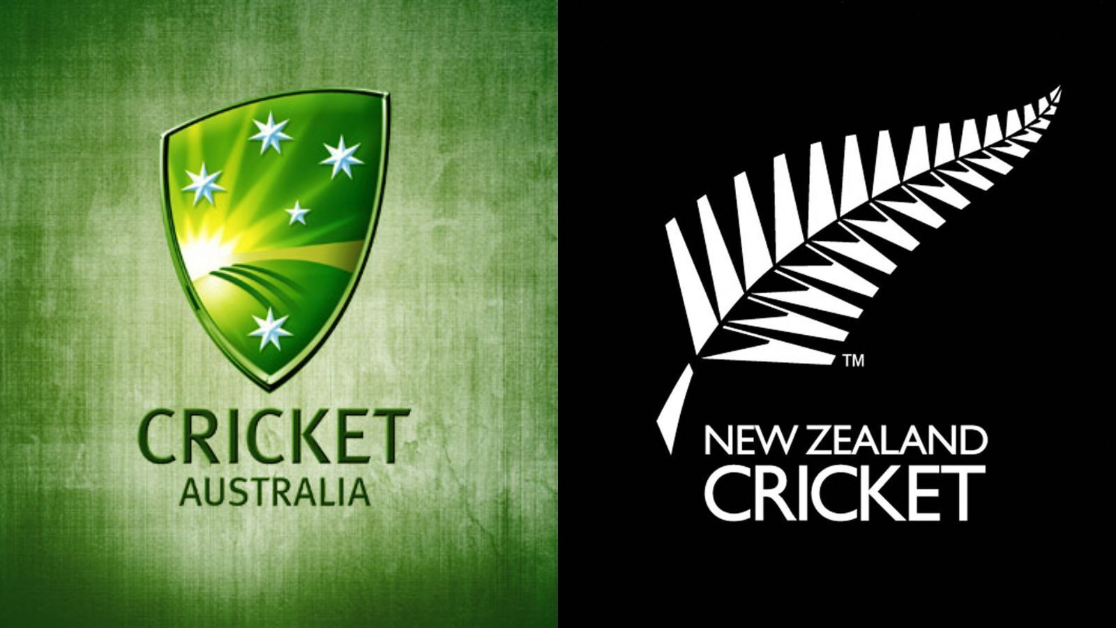 Weird and ridiculous cricket logos - Dennis Does Cricket | Sporting News  Australia