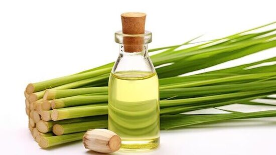 lemongrass benefits