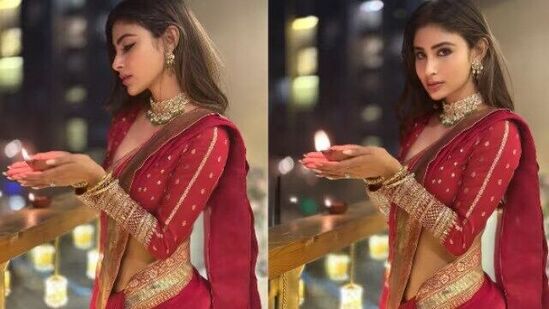 फुल स्लीव्हज ब्लाऊज डिझाईन