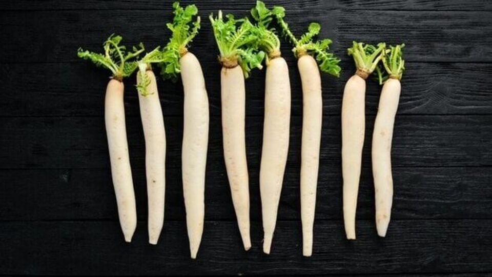 Radish Side Effects मुळा खायला आवडतो? शरीराचे होऊ शकते गंभीर नुकसान