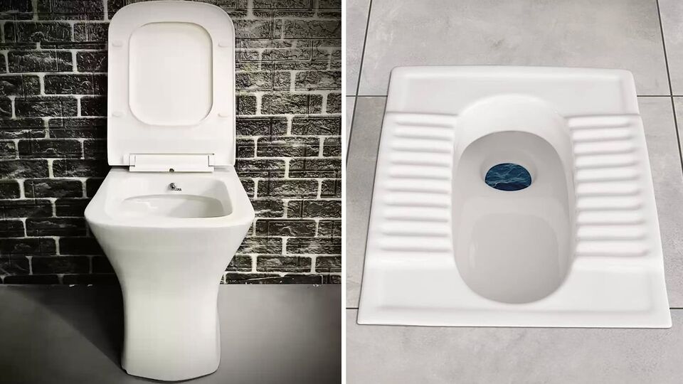 Western vs Indian Toilets वेस्टर्न की भारतीय, कोणते टॉयलेट आहे