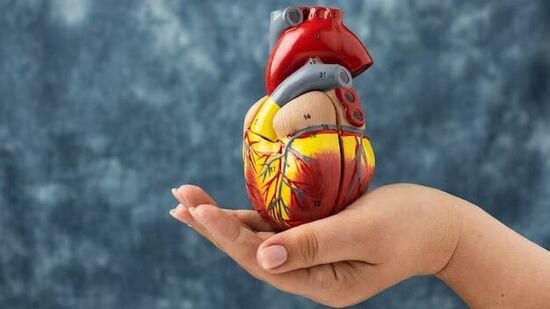 तसेच आणखी एक कारण म्हणजे थंडीमुळे शरीरातील रक्तवाहिन्या आकुंचन पावतात. हे रक्ताभिसरण रोखते. त्यामुळे हृदयाच्या कोरोनरी धमन्यांमधील रक्तप्रवाहात अडथळा निर्माण होतो. तसे असल्यास हृदयाच्या स्नायूंना ऑक्सिजनचा पुरवठा कमी होतो. परिणामी हृदयविकाराचा झटका येऊ शकतो. तसेच आणखी एक कारण म्हणजे थंडीमुळे शरीरातील रक्तवाहिन्या आकुंचन पावतात. हे रक्ताभिसरण रोखते. त्यामुळे हृदयाच्या कोरोनरी धमन्यांमधील रक्तप्रवाहात अडथळा निर्माण होतो. तसे असल्यास हृदयाच्या स्नायूंना ऑक्सिजनचा पुरवठा कमी होतो. परिणामी हृदयविकाराचा झटका येऊ शकतो.