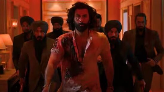 Animal Box Office Collection Day 15 