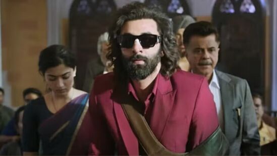 Animal Box Office Collection Day 17