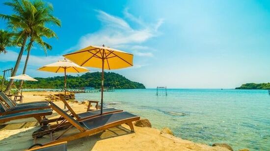 गोवा पार्टी: गोव्यात ख्रिश्चन बहुसंख्य आहे, आणि हे ठिकाण विविध प्राचीन चर्चने भरलेले आहे, त्यामुळे गोव्यात ख्रिसमस मोठ्या थाटामाटात साजरा केला जातो. उत्सव हा एखाद्या कार्निव्हलसारखा असतो. या दिवशी चर्च आणि घरे चमकणाऱ्या दिव्यांनी सजवली जातात आणि संपूर्ण रस्ते उजळून निघतात. या खास दिवशी सुगंधित मेणबत्त्या आणि विविध सुगंध आणि आनंदाचे वास हवेत भरतात. मुले ख्रिसमस कॅरोल गातात आणि अनेक पार्टी आयोजित केल्या जातात. हे ठिकाण देशाच्या विविध भागांतून हजारो पर्यटक आणि परदेशातील परदेशी पर्यटकांना, विशेषत: ख्रिसमसच्या वेळी आकर्षित करतात यात आश्चर्य नाही. गोवा पार्टी: गोव्यात ख्रिश्चन बहुसंख्य आहे, आणि हे ठिकाण विविध प्राचीन चर्चने भरलेले आहे, त्यामुळे गोव्यात ख्रिसमस मोठ्या थाटामाटात साजरा केला जातो. उत्सव हा एखाद्या कार्निव्हलसारखा असतो. या दिवशी चर्च आणि घरे चमकणाऱ्या दिव्यांनी सजवली जातात आणि संपूर्ण रस्ते उजळून निघतात. या खास दिवशी सुगंधित मेणबत्त्या आणि विविध सुगंध आणि आनंदाचे वास हवेत भरतात. मुले ख्रिसमस कॅरोल गातात आणि अनेक पार्टी आयोजित केल्या जातात. हे ठिकाण देशाच्या विविध भागांतून हजारो पर्यटक आणि परदेशातील परदेशी पर्यटकांना, विशेषत: ख्रिसमसच्या वेळी आकर्षित करतात यात आश्चर्य नाही. 