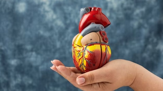 या प्रकारात मृत्यूचे कोणतेही कारण शवविच्छेदनात सापडत नाही. हृदयातील सदोष विद्युत सिग्नल या आजाराचा धोका वाढवतात.&nbsp;