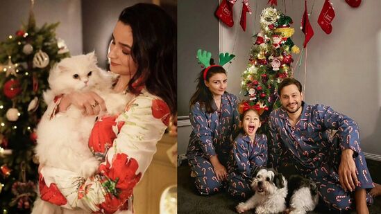 तर, आलिया भट्ट हिने देखील आपल्या लाडक्या मांजरीसोबत ख्रिसमस सेलिब्रेशन केलं आहे. अभिनेता कुणाल खेमू याने आपल्या कुटुंबासोबत ख्रिसमस साजरा केला आहे.