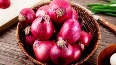 Onion Export Ban lifting