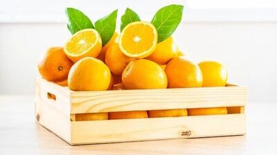 संत्र्यामुळे रक्तदाब कमी होण्यास मदत होते. मधुमेहाच्या रुग्णांसाठी हे फळ खूप फायदेशीर आहे. त्यात भरपूर फायबर असते. त्यामुळे वजन कमी करण्यासाठी हे फळ खूप उपयुक्त आहे.