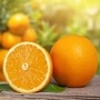 <p>रोज संत्री खाल्ल्याने हिवाळ्याच्या आजारांपासून सहज सुटका मिळते. संत्र्यामध्ये भरपूर प्रमाणात अँटिऑक्सिडेंट असतात जे ऑक्सिडेटिव्ह तणाव सोडण्यास मदत करतात.</p>