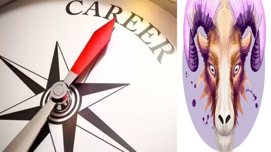 Mesh Rashi Career