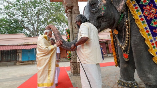 मकर संक्रांतीच्या मुहूर्तावरदेखील पीएम मोदींनी गायींना चारा खाऊ घातला होता. यानंतर ते आता येथील मंदिरात हत्तीला चारा खाऊ घालताना दिसले. एवढेच नाही तर मोदींनी गजराजांचे आशीर्वादही घेतले. <p>मकर संक्रांतीच्या मुहूर्तावरदेखील पीएम मोदींनी गायींना चारा खाऊ घातला होता. यानंतर ते आता येथील मंदिरात हत्तीला चारा खाऊ घालताना दिसले. एवढेच नाही तर मोदींनी गजराजांचे आशीर्वादही घेतले. </p>