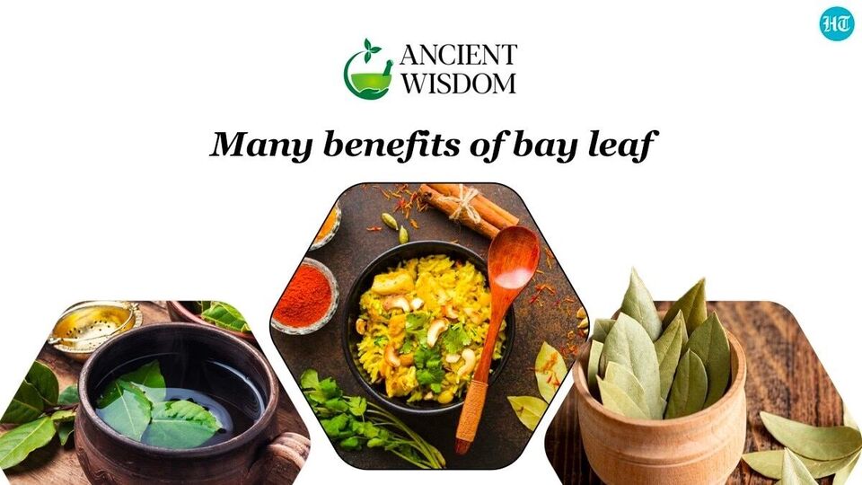 Benefits of eating Bay leaf तमालपत्र खाण्याचे फायदेbenefits of eating