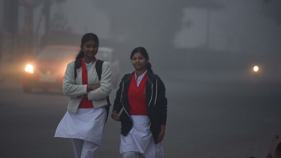 राज्यात सध्या वातावरणात चढ उतार अनुभवायला मिळत आहे. अनेक ठिकाणी तापमानात घट जाणवत आहे. तर कुठे उष्णता वाढली आहे. तर काही ठिकाणी पावसाचा अंदाज वर्तवण्यात आला आहे. राज्यात आज विदर्भात पावसाचा अंदाज वर्तवण्यात आला आहे.