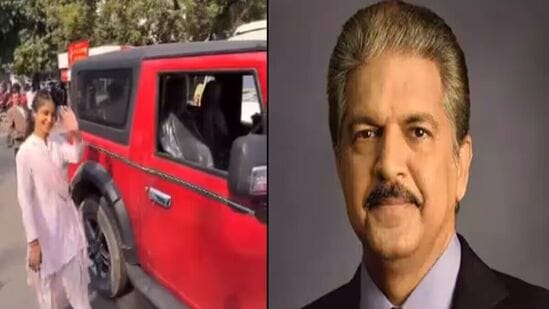  anand mahindra 