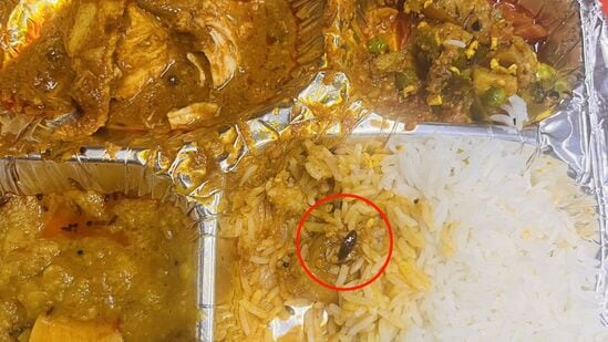 The image shows the dead cockroach that a Vande Bharat Express passenger found in his meal. 