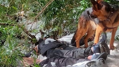 Pet dog guards bodies of two trekkers 