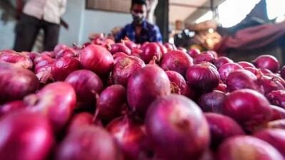 Onion Export Ban to continue