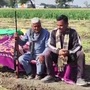 farmers are guarding crops with guns due to fear of garlic theft 