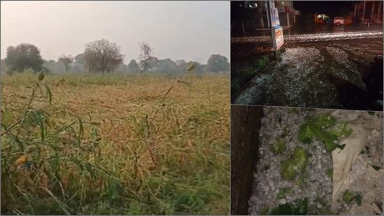 Unseasonal Rain In Maharashtra Many Districts 