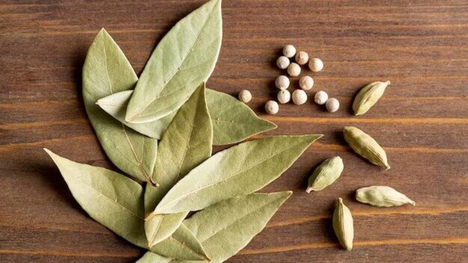 Health Benefits भाज्यांमध्ये वापरण्यात येणारे या मसाल्याचे पाणी खूप