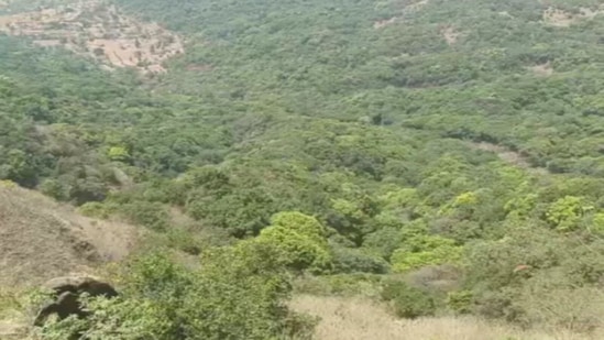 आंबेनळी घाटात टेम्पो तब्बल ४०० फूट खोल दरीत कोसळला.