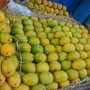 सर्वांचे आवडीचे फळ असलेल्या फळांचा राजा हापूस आंब्याची बाजारात आवक होण्यास सुरुवात झाली आहे.
