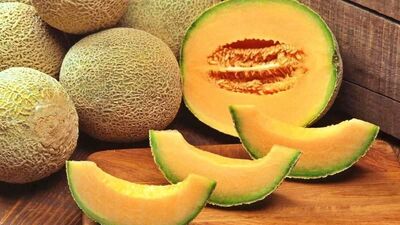 Muskmelon Benefits: या फळामुळे शरीरातील उष्णता पळून जाईल, पाहा खरबूज ...