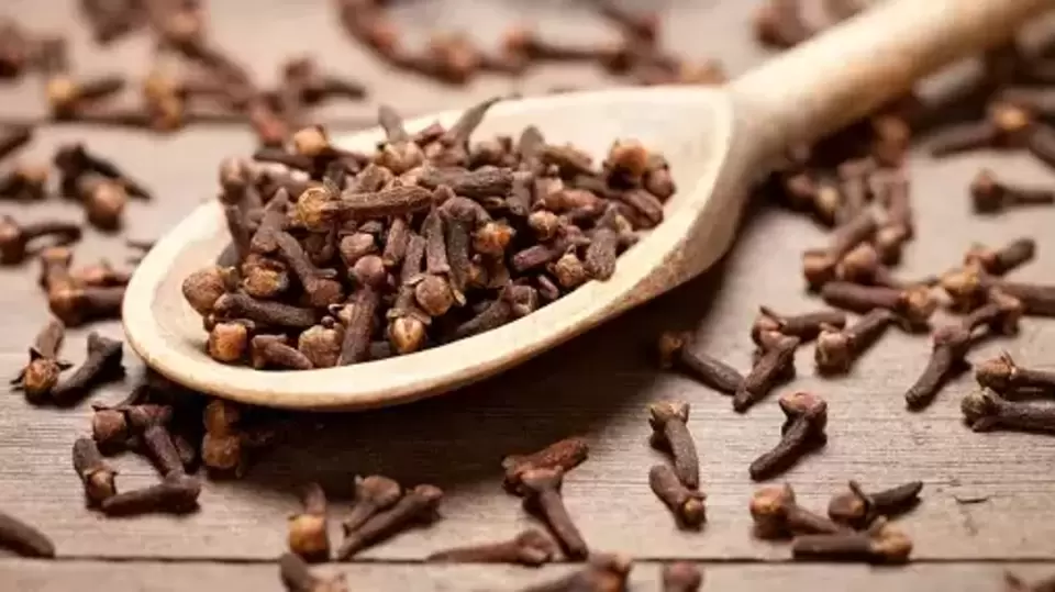 Clove Side Effects या लोकांनी उन्हाळ्यात चुकूनही करू नये लवंगाचे जास्त