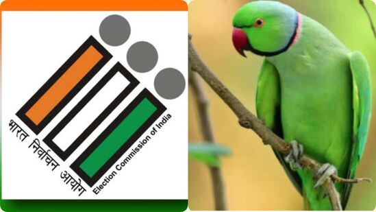 निवडणुकीची भविष्यवाणी करत होता पोपट, पोलिसांनी ज्योतिषाला केली अटक 