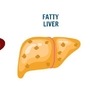 Fatty liver problem is increasing rapidly in youth 