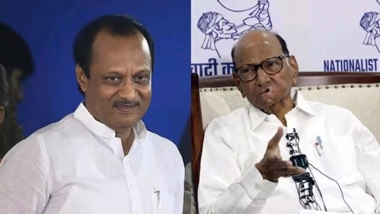 अजित पवारांना राजकारण कळलंच नाही, शरद पवारांचा टोला