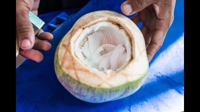 नारळ वापरणे पूर्णपणे ठीक आहे आणि ते कसे वापरले जाते यावर सर्व अवलंबून आहे. अहवालानुसार, एक व्यक्ती दररोज सुमारे ४० ग्रॅम नारळ खाऊ शकतो.