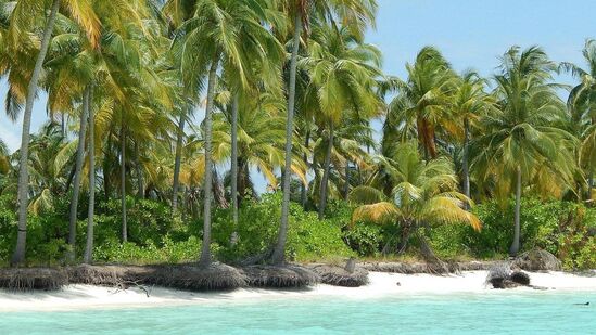 लक्षद्वीपमध्ये ३६ बेटे आहेत. परंतु यापैकी फक्त १० बेटांवर वस्ती आहे. समोर आलेल्या आकडेवारीनुसार कावरत्ती, अगट्टी, अमिनी, कदम, किलाटन, चेतलाट, वित्रा, अंदोह, काल्पानी आणि मिनीकोय बेटांवर एकही साप नाही. लक्षद्वीपमध्ये ३६ बेटे आहेत. परंतु यापैकी फक्त १० बेटांवर वस्ती आहे. समोर आलेल्या आकडेवारीनुसार कावरत्ती, अगट्टी, अमिनी, कदम, किलाटन, चेतलाट, वित्रा, अंदोह, काल्पानी आणि मिनीकोय बेटांवर एकही साप नाही.