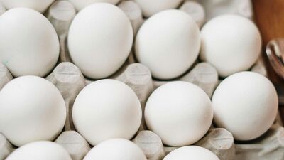 अंड्यात सहसा साल्गोनेला नावाचा जीवाणू असतो, जो अंडी फ्रिजमध्ये ठेवल्यास इतर पदार्थांना संक्रमित करू शकतो.