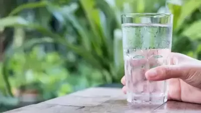 Chilled Water: फ्रीजमधलं थंडगार पाणी पिताय? सावधान! नकळत देताय या आजारांना आमंत्रण