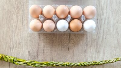 अंडी वेळोवेळी आणून ताजी शिजवली पाहिजे. अंडी फक्त खोलीच्या तापमानावरच साठवून ठेवावीत.