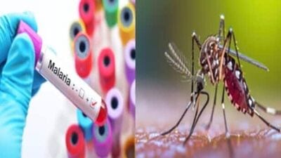 जागतिक मलेरिया दिवस २०२४ - आज जागतिक मलेरिया दिवस जगभरात साजरा केला जात आहे. जागतिक मलेरिया दिवस साजरा करण्यामागील उद्देश हा लोकांना मलेरिया, डास चावल्यामुळे होणारा रोग याबद्दल जागरूक करणे हे आहे