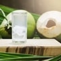 Coconut Shikanji: यंदाच्या उन्हाळ्यात ट्राय करा कोकोनट शिकंजी, शरीर आणि मन फ्रेश करेल ही रेसिपी