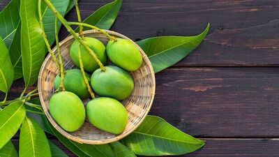 Raw Mango Benefits: आरोग्यासाठी अनेक फायदे देते कैरी, रोजच्या आहारात समावेश करायला विसरू नका