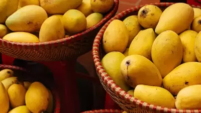 एकादशी तिथी भगवान विष्णूला समर्पित आहे. अशा स्थितीत या दिवशी केळी, आंबा आणि इतर रसाळ फळे गरजूंना वाटल्यास पितृदोषापासून मुक्ती मिळते असे मानले जाते. तसेच शनिही प्रसन्न होतो.