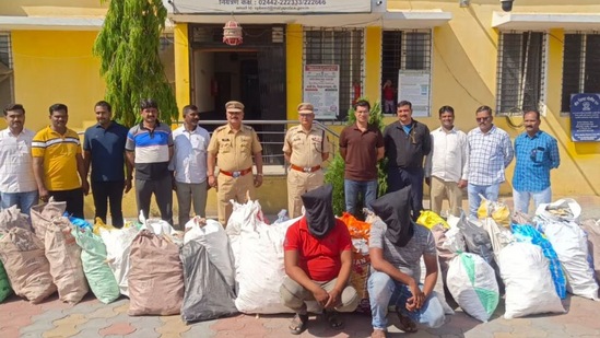बीडमध्ये निवडणुकीच्या धामधुमीत दोन कोटींचे चंदन जप्त