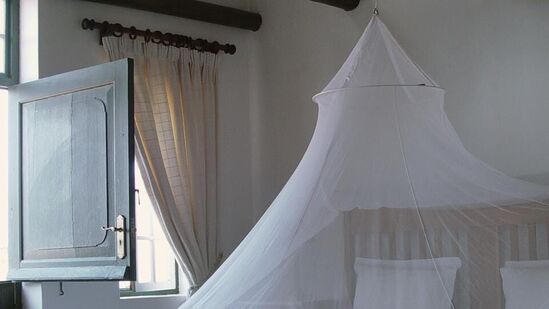 विंडो आणि डोअर स्क्रीन लावा: डास आपल्या घरात प्रवेश करू नयेत म्हणून खिडक्या आणि दरवाजांमध्ये टाइट-फिटिंग स्क्रीन आहेत याची खात्री करा.&nbsp;