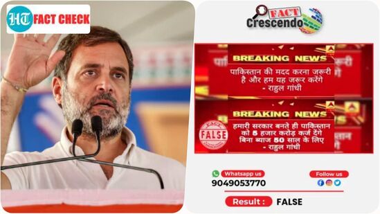 राहुल गांधींकडून पाकिस्तानला ५ हजार कोटींचे बिनव्याजी कर्ज देण्याची घोषणा?